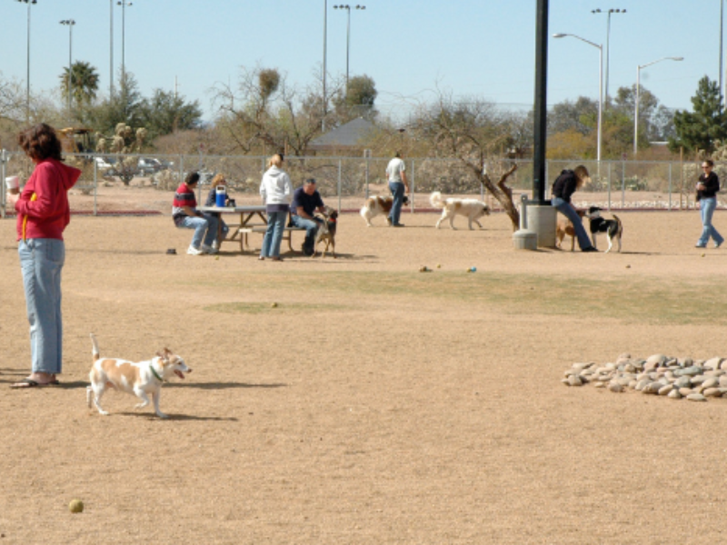 Udall Dog Park Tucson Arizona