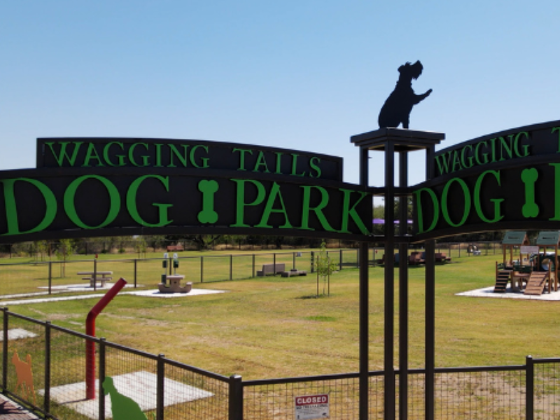 Wagging Tails Dog Park Tucson Arizona